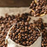 El café ecuatoriano: un tesoro nacional que conquista paladares en el mundo
